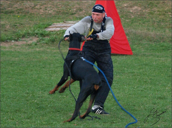 Summer training camp - Jelenec - 2007